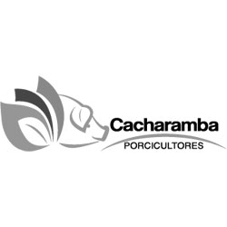 cacharamba